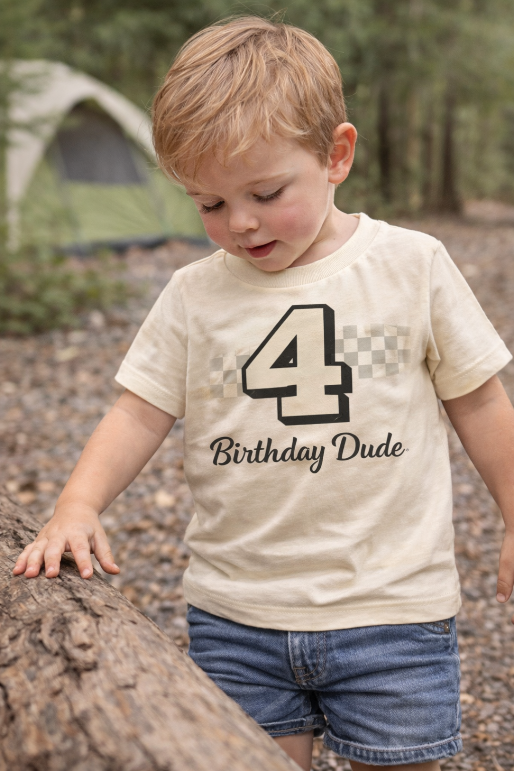 Birthday Dude Shirt, Custom Birthday Shirt Boy, 1st 2nd 3rd 4th 5th Birthday Shirt, Toddler Birthday Outfit, Race Car Birthday Shirt, Boy Birthday Tee