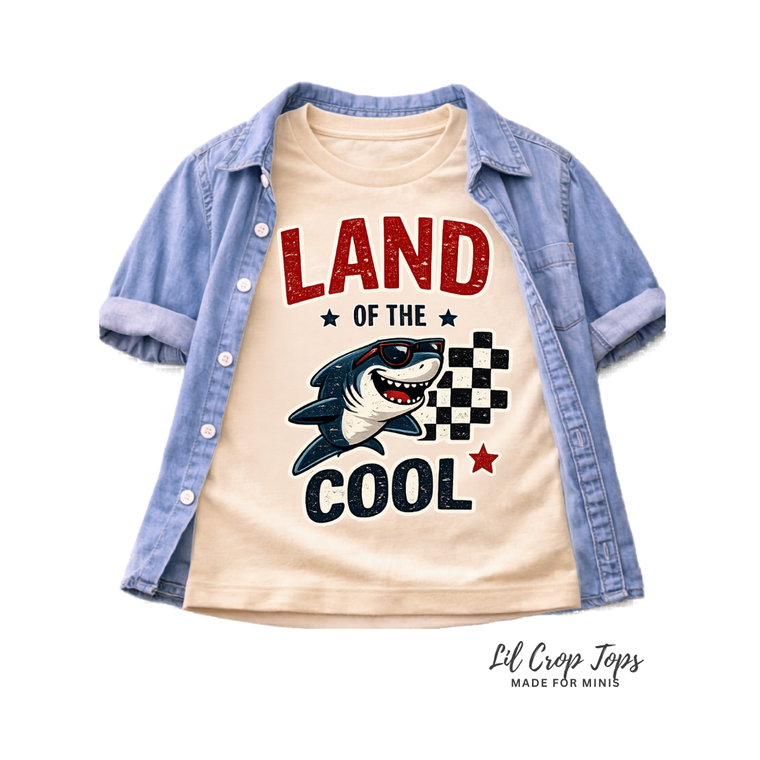Land of the Cool Toddler