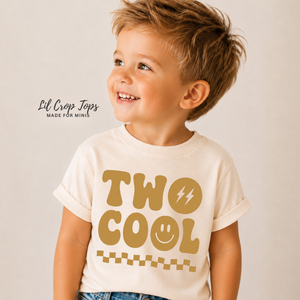 Two Cool Toddler