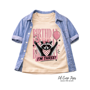 3rd Birthday Shirt Girl, I’m Three Birthday Shirt, Toddler Girl Birthday Tee, Raccoon Birthday Shirt, Third Birthday Outfit for Girls