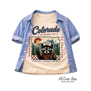 Colorado Kids Shirt, Colorado Baby Bodysuit, Little Explorer Shirt, Mountain Adventure Tee, Toddler Hiking Shirt, Colorado Baby Gift