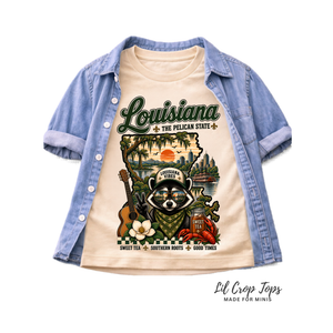 Louisiana Kids Shirt, Louisiana Baby Bodysuit, Toddler Louisiana Shirt, Pelican State Tee, Southern Baby Gift, Louisiana Souvenir