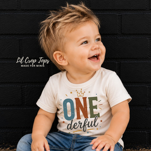 One-derful First Birthday Shirt, First Birthday Outfit, Neutral Birthday Shirt, Cake Smash Outfit, One Year Old Shirt, Birthday Boy Girl Tee