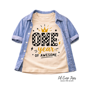 One Year of Awesome First Birthday Shirt, First Birthday Outfit, Cake Smash Shirt, Birthday Boy Tee, Birthday Girl Outfit, One Year Old Shirt