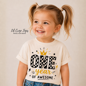One Year of Awesome First Birthday Shirt, First Birthday Outfit, Cake Smash Shirt, Birthday Boy Tee, Birthday Girl Outfit, One Year Old Shirt