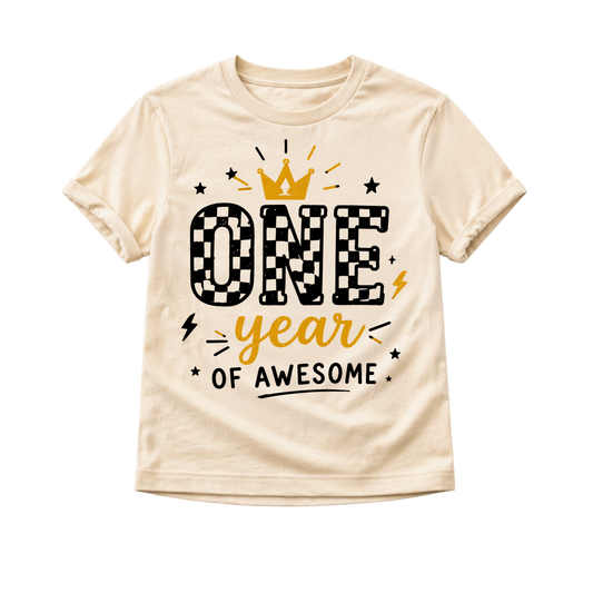 One Year of Awesome First Birthday Shirt, First Birthday Outfit, Cake Smash Shirt, Birthday Boy Tee, Birthday Girl Outfit, One Year Old Shirt