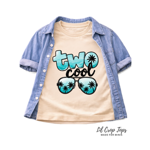 Two Cool Birthday Shirt, 2nd Birthday Shirt, Two Cool Birthday Outfit, Toddler Second Birthday Shirt, Beach Birthday Tee, Summer Birthday Shirt